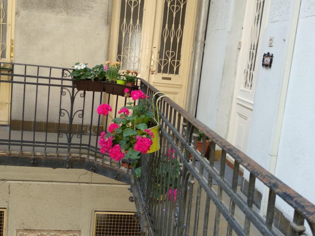 A Quiet Place In The Heart Of The City Budapest Exteriör bild